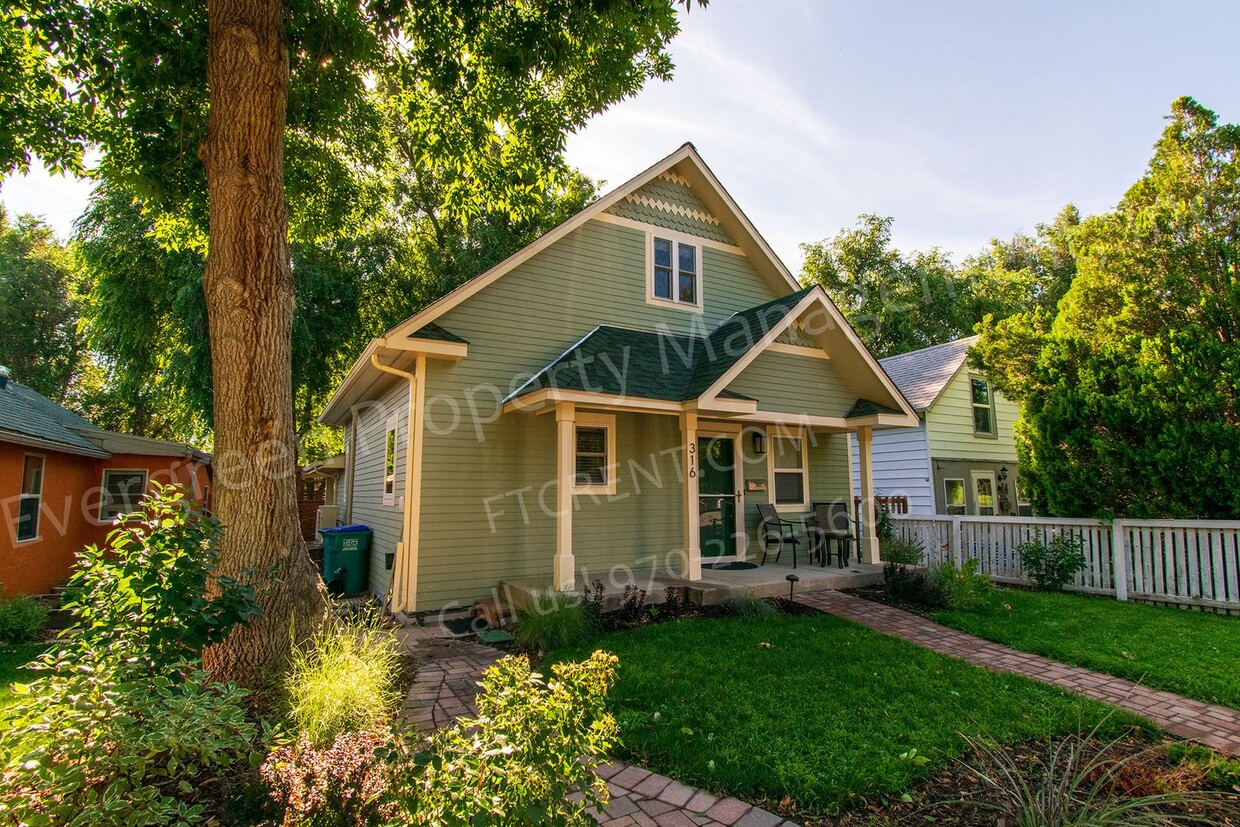 Primary Photo - Bright Basement Apartment!