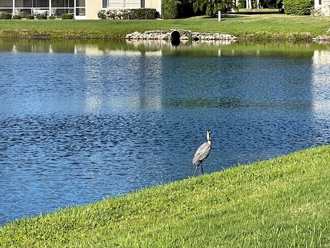 Building Photo - ANNUAL UNFURNISHED 2/2 condo in Palm Air S...