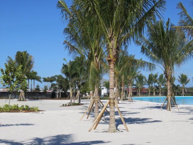 Foto del edificio - 6311 Pigeon Plum Way