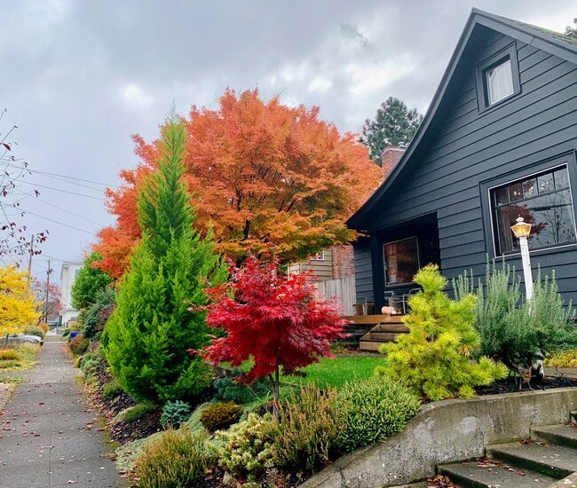 House in the fall - 6605 N Fenwick Ave