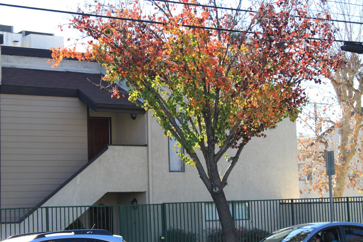 Primary Photo - 324 N San Antonio Ave