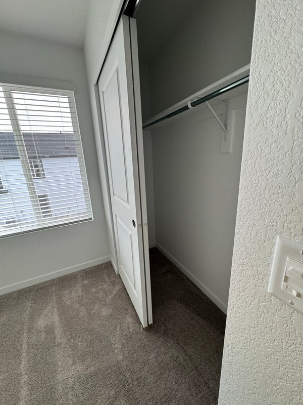 Building Photo - 9156 Percheron Pony Dr