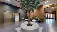 This 910 square foot single-floor space at 400 State St, New Haven, CT, showcases a harmonious blend of industrial chic and natural elements. The lobby area features striking exposed brick walls that add warmth and character to the space. Smooth, gray tile flooring spans throughout, providing a modern and low-maintenance surface.

Architectural highlights include wooden support beams that contrast beautifully with the brick and add a touch of rustic charm. The space boasts high ceilings, creating an open and airy atmosphere. Recessed lighting fixtures are strategically placed to illuminate the area effectively.

A notable feature is the indoor greenery, with several potted plants and a centrally located tree in a large concrete planter, bringing life and freshness to the interior. Comfortable seating options, including round white ottomans, offer convenient resting spots.

The entrance features glass double doors, allowing natural light to flood the space. A package room is clearly marked, indicating the building's attention to modern conveniences. Safety features such as fire alarms and exit signs are visibly installed.

Overall, this space successfully combines industrial elements with natural touches, creating a welcoming and contemporary environment suitable for various commercial or residential purposes.