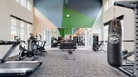 This spacious fitness center is defined by its dramatic double-height ceilings and a striking geometric wall mural rendered in shades of green, blue, and peach, lending the space a modern, energetic aesthetic. Large windows line multiple walls, flooding the interior with abundant natural light and offering views of the surrounding outdoor pool area and grounds.

The main workout floor is carpeted and thoughtfully organized into distinct training zones. The cardio section features treadmills, ellipticals, stationary bikes, and a rowing machine, all positioned near the windows to take advantage of the natural light and outdoor views. A dedicated strength area includes a full dumbbell rack, weight bench, cable machine, and a heavy punching bag for boxing-style training.

A separate functional fitness area transitions to light wood flooring and houses stability balls, medicine balls, resistance bands, yoga mats, and a rack of barbells, making it well-suited for group or individual functional training. Mirrored walls expand the sense of space and provide visual feedback during workouts.

Additional amenities include a bank of storage lockers and ample open floor space throughout, supporting a wide variety of fitness routines in a bright, well-appointed environment.