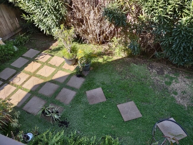 Backyard patio - 230 Newport Ave