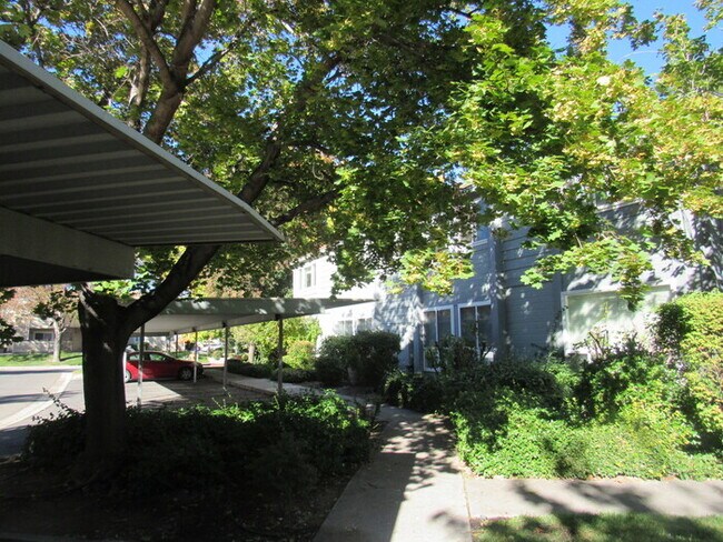 Building Photo - 775 Kingston Lane F