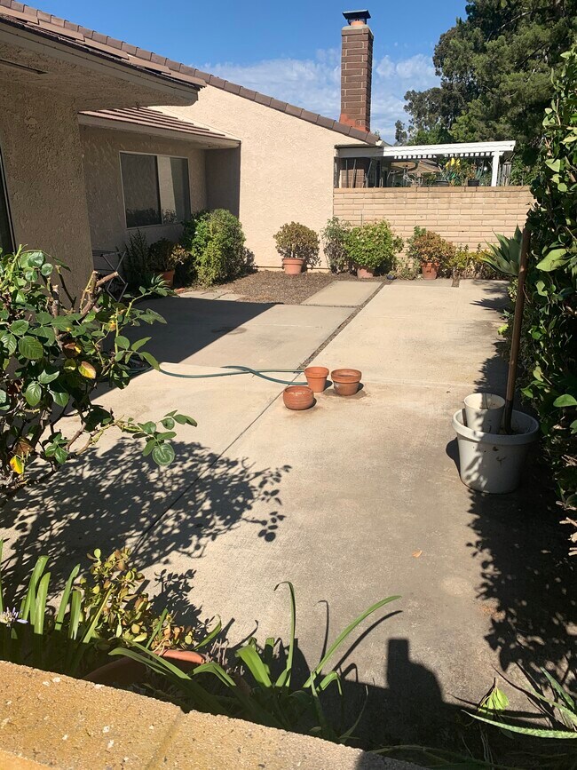 Schinger IMG_4268 - 5146 Maple