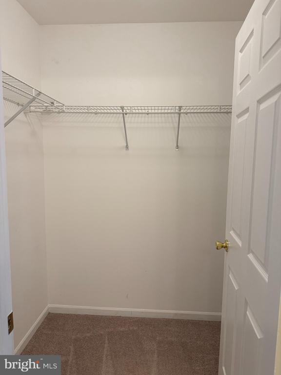 Building Photo - 2 Village Ct