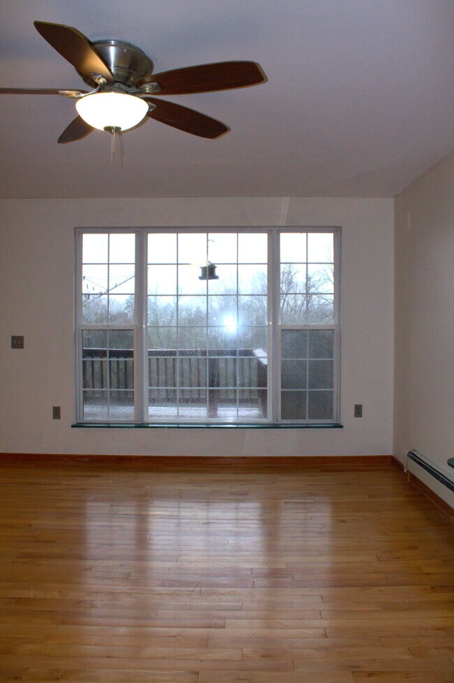 Building Photo - "Charming 2-Bed Retreat with Hardwood Elegance in Scenic Marshall, NC"