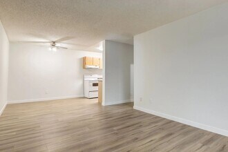 Building Photo - Cameron County