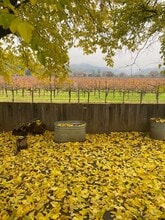 Building Photo - 31451 N Redwood Hwy