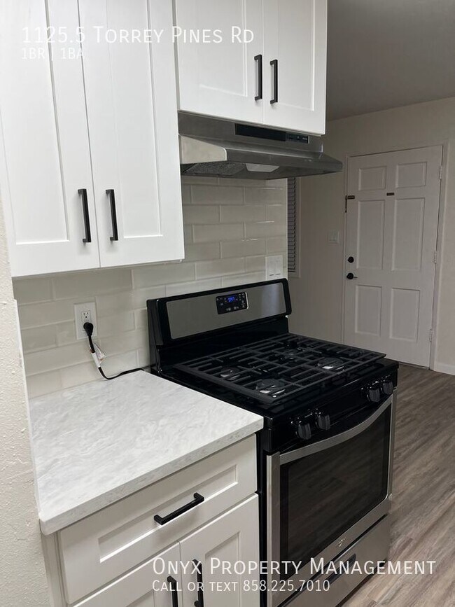 Brand New Remodeled 1/1 in Downtown La Jolla House Rental in San