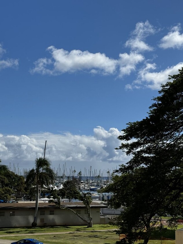 Primary Photo - Yacht Harbor Tower