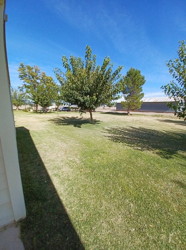 Foto del edificio - Ranch Style Farm