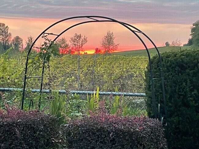 Photo du bâtiment - 2163 Riesling Dr