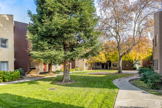 Patio - College Grove Apartments