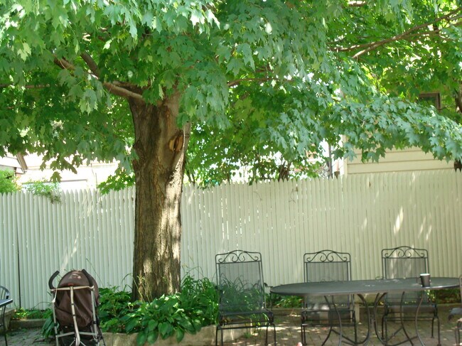 Gran patio compartido para cenas al aire libre. - 648 Valley Ave