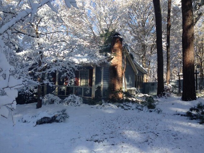 House in winter - 1331 Pine Shadows Dr