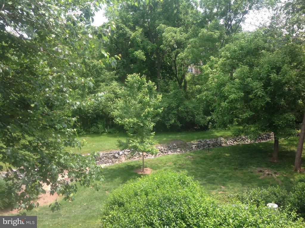 Foto principal - 14321 Climbing Rose Way