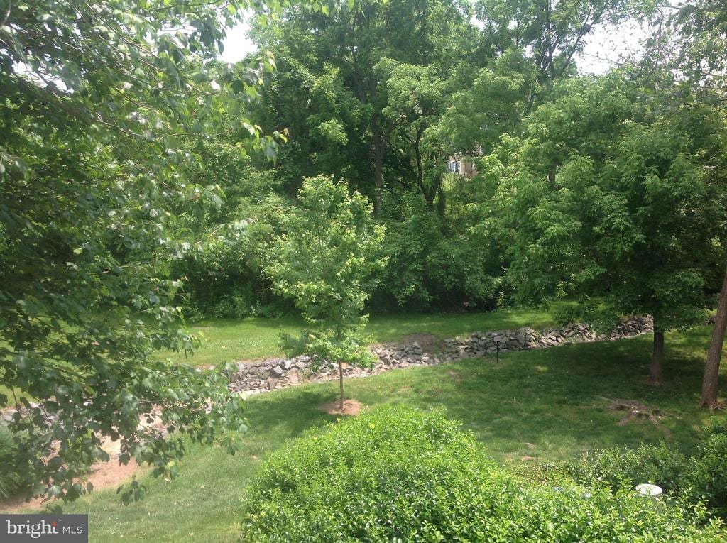 Primary Photo - 14321 Climbing Rose Way