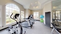 This fitness center offers a comprehensive workout environment designed to accommodate a variety of exercise routines. The space is organized into distinct functional zones, making it easy to move between cardio, strength training, and flexibility work. The cardio area is lined with treadmills, elliptical machines, and a rowing machine, all positioned to face large, arched windows that flood the space with natural light and provide pleasant outdoor views. A vaulted tray ceiling with recessed lighting and pendant ceiling fans adds architectural character and enhances the sense of openness overhead. The strength training section is outfitted with a cable machine system and a variety of selectorized weight machines, complemented by a full rack of dumbbells for free weight exercises. Floor-to-ceiling mirrors along one wall visually expand the space and allow users to monitor their form throughout their workout. A wall-mounted flat-screen television provides entertainment while exercising. Exercise balls mounted on a dedicated rack round out the flexibility and functional fitness offerings. The neutral color palette, carpeted flooring, and clean, bright finishes create a welcoming and professional atmosphere throughout the facility.