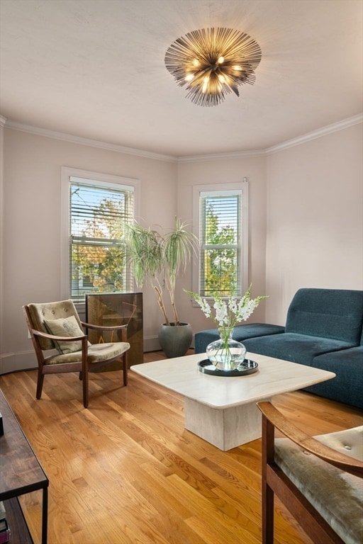 Foto del edificio - 443 E 7th St