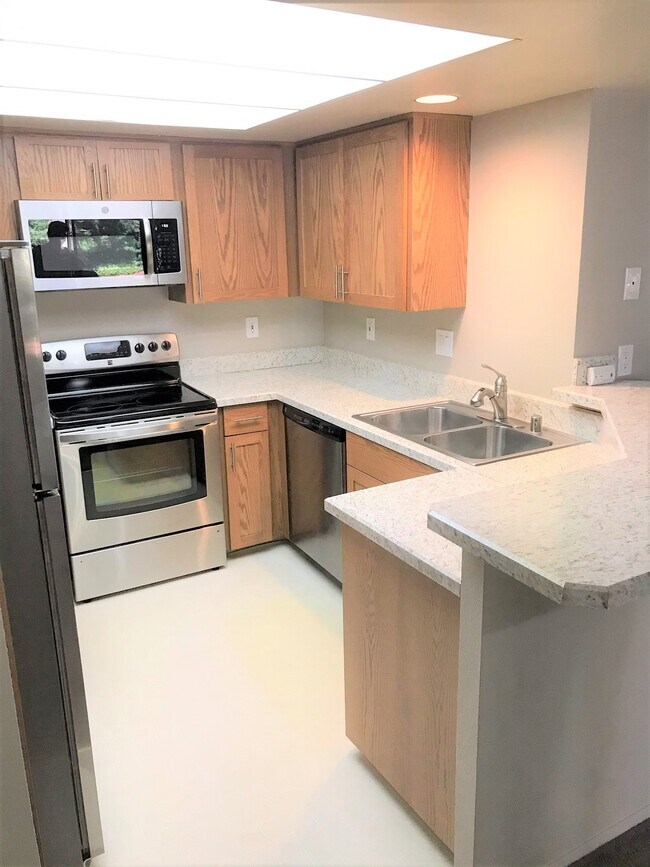 SS kitchen - 1344 Bellevue Way NE