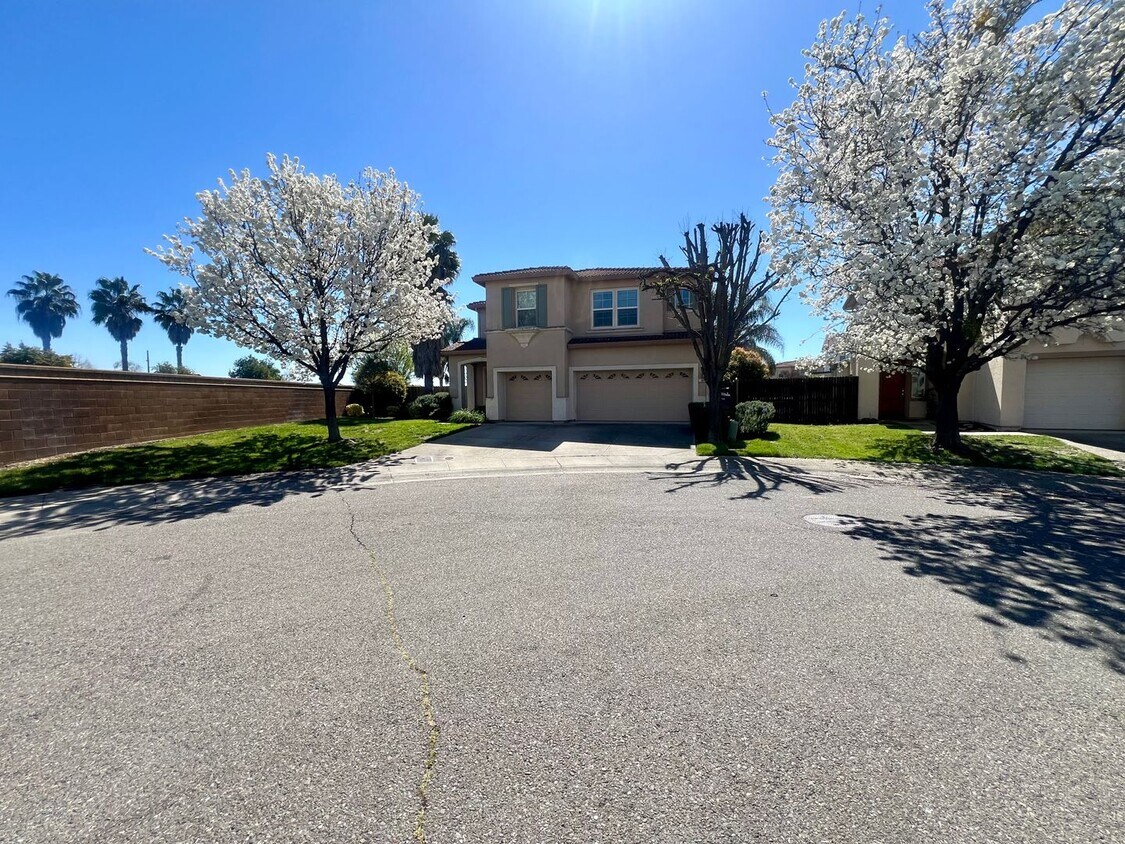 Primary Photo - Huge Beautiful 5 bed/3 full bath home in N...
