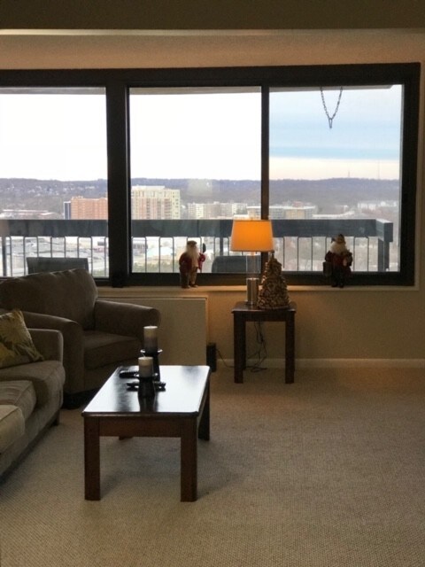 Living-room - 3701 S George Mason Dr