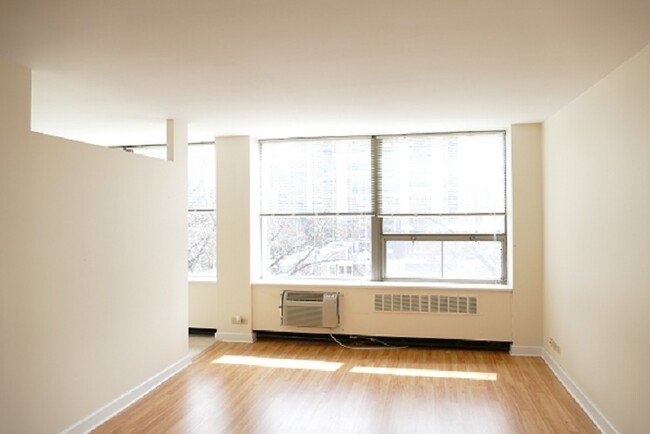 Building Photo - 1460 N Sandburg Terrace