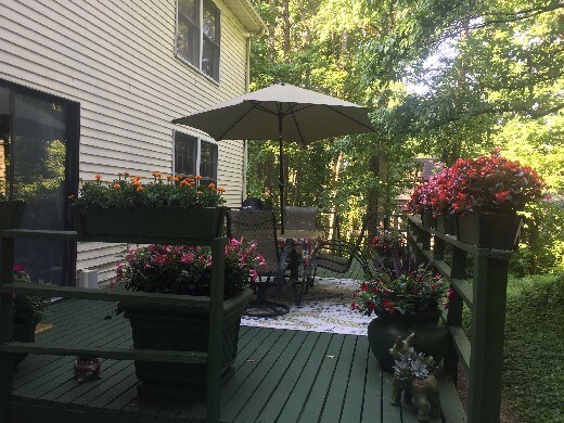 Foto del edificio - East Cobb House For Rent
