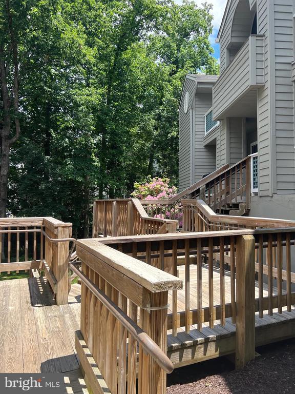 Building Photo - 11713 Summerchase Cir