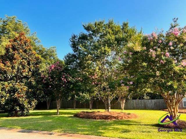 Foto del edificio - 103 Shallowford Rd