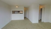 This single-floor space offers a clean and functional layout designed to maximize openness and ease of living. The main living area is generously proportioned, featuring neutral wall-to-wall carpeting that lends a soft, understated feel throughout. A defining architectural element is the pass-through kitchen window, which connects the kitchen to the living space, creating an open and communicative flow between the two areas. The kitchen itself is efficiently arranged, featuring standard appliances including a refrigerator and microwave, with light-toned cabinetry and countertops that contribute to a bright interior. A pendant light fixture overhead adds a subtle decorative touch. The white walls throughout the space amplify natural and artificial light, creating a fresh and airy ambiance. A hallway leads to additional rooms and closet storage, including a full-size closet with paneled doors. The overall design is straightforward and versatile, offering a neutral canvas well-suited to a variety of interior styles. The open sightlines from the living area into the kitchen and hallway reinforce the spacious character of the home, making it feel connected and cohesive from end to end.