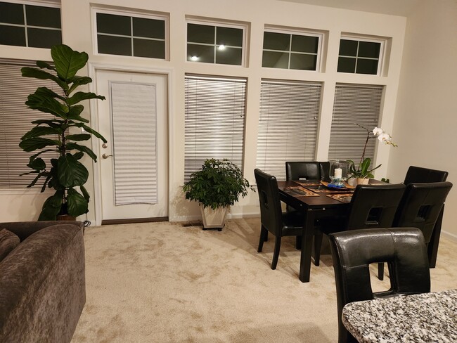 Dining Room - 30246 Piping Plover Dr