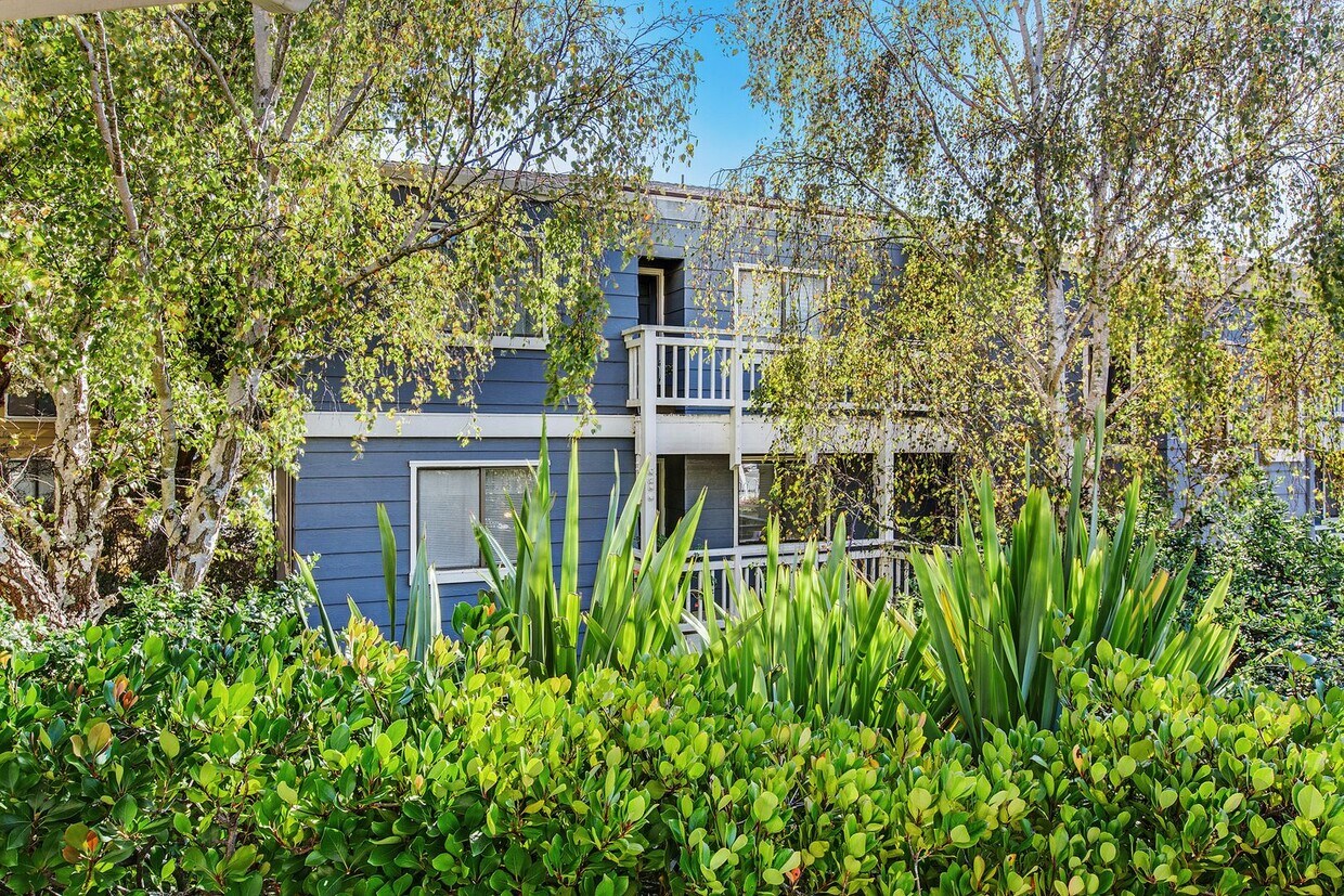 Primary Photo - Fabulous condo at the Saddleback complex