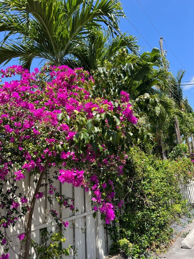 Del Rio Apartment Homes 875 SW 4th Ct Boca Raton, FL