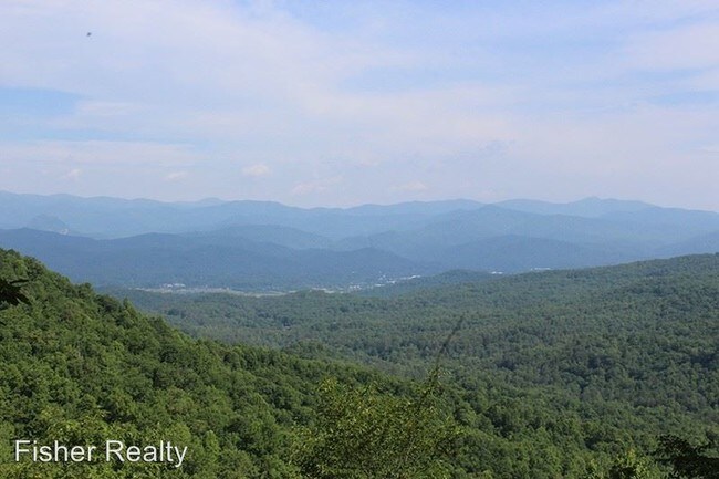 Foto del edificio - 3 br, 2.5 bath House - 405 Hard Times Ridge