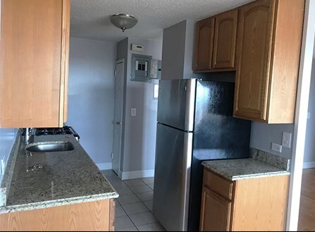 Foto principal - 1133 Ogden Ave
