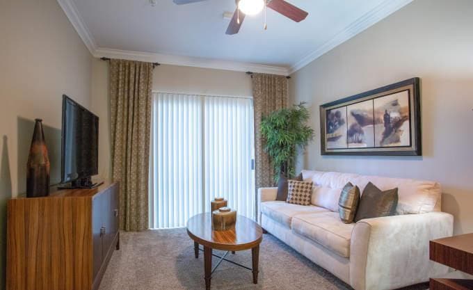 Primary Photo - 1 bedroom in Houston TX 77030