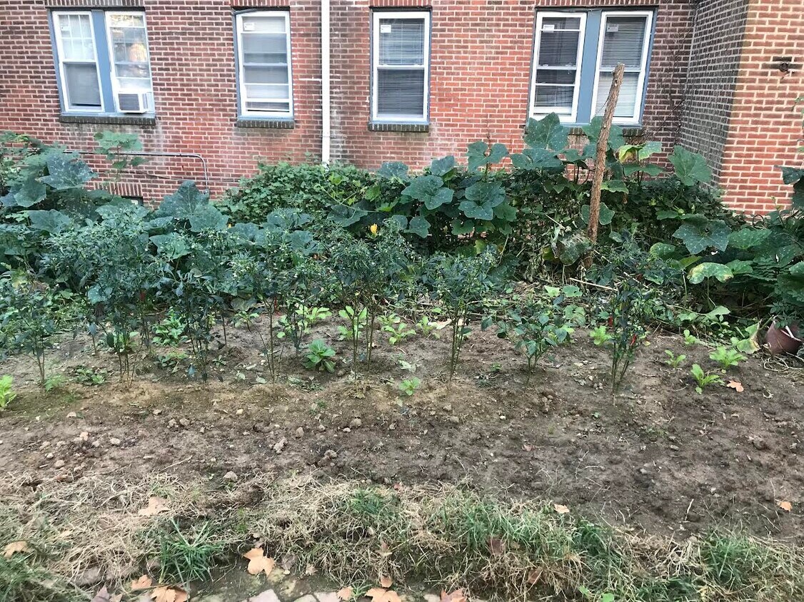 Foto principal - 504 S 41st St