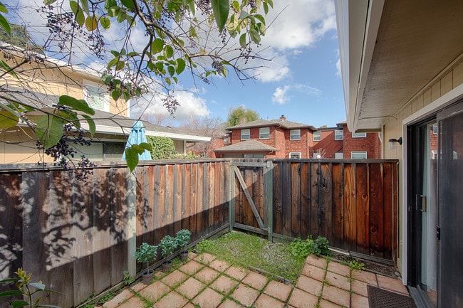 Backyard - 566 Vista Ave