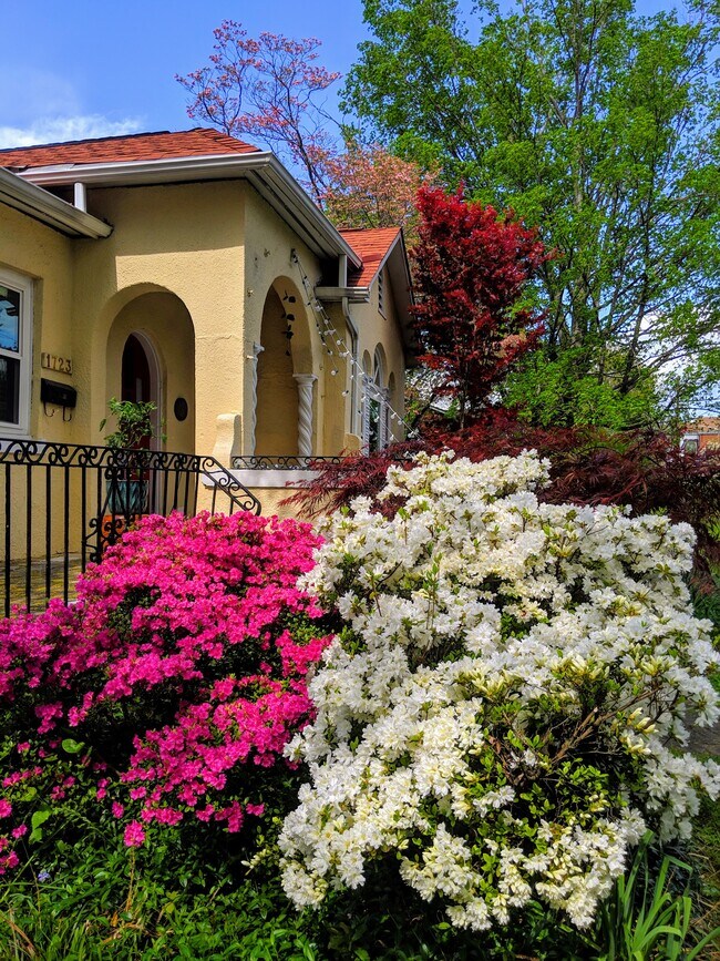 Blooming - 1723 Fairmont Blvd