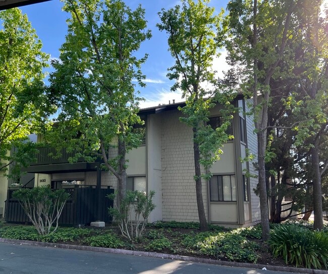 Building Photo - 1493 Marchbanks Dr