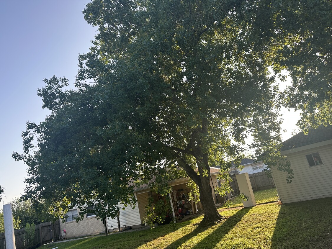 Primary Photo - 209 Cougar Dr