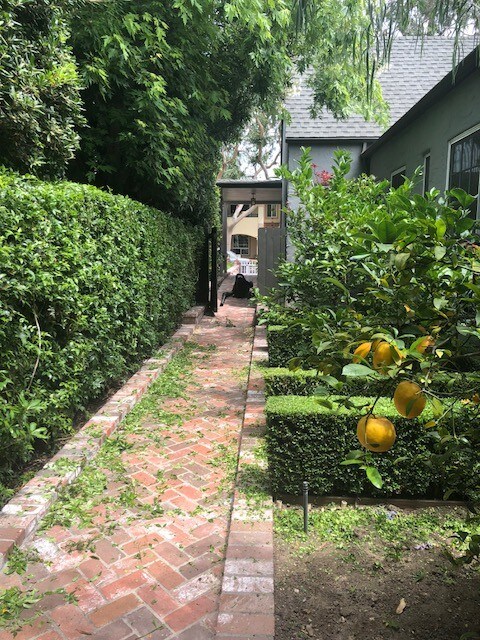 Citrus Trres - 10819 Oregon Ave