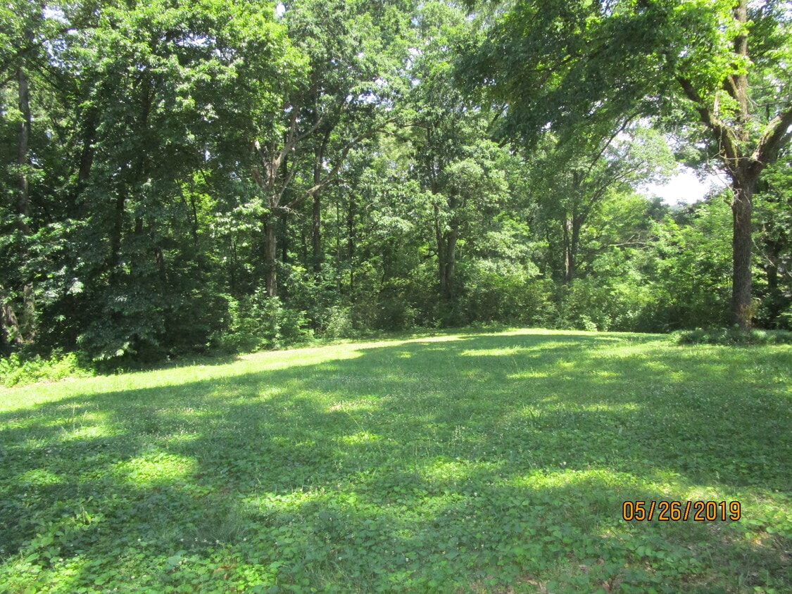 Back Yard - 4401 Byrd Ave