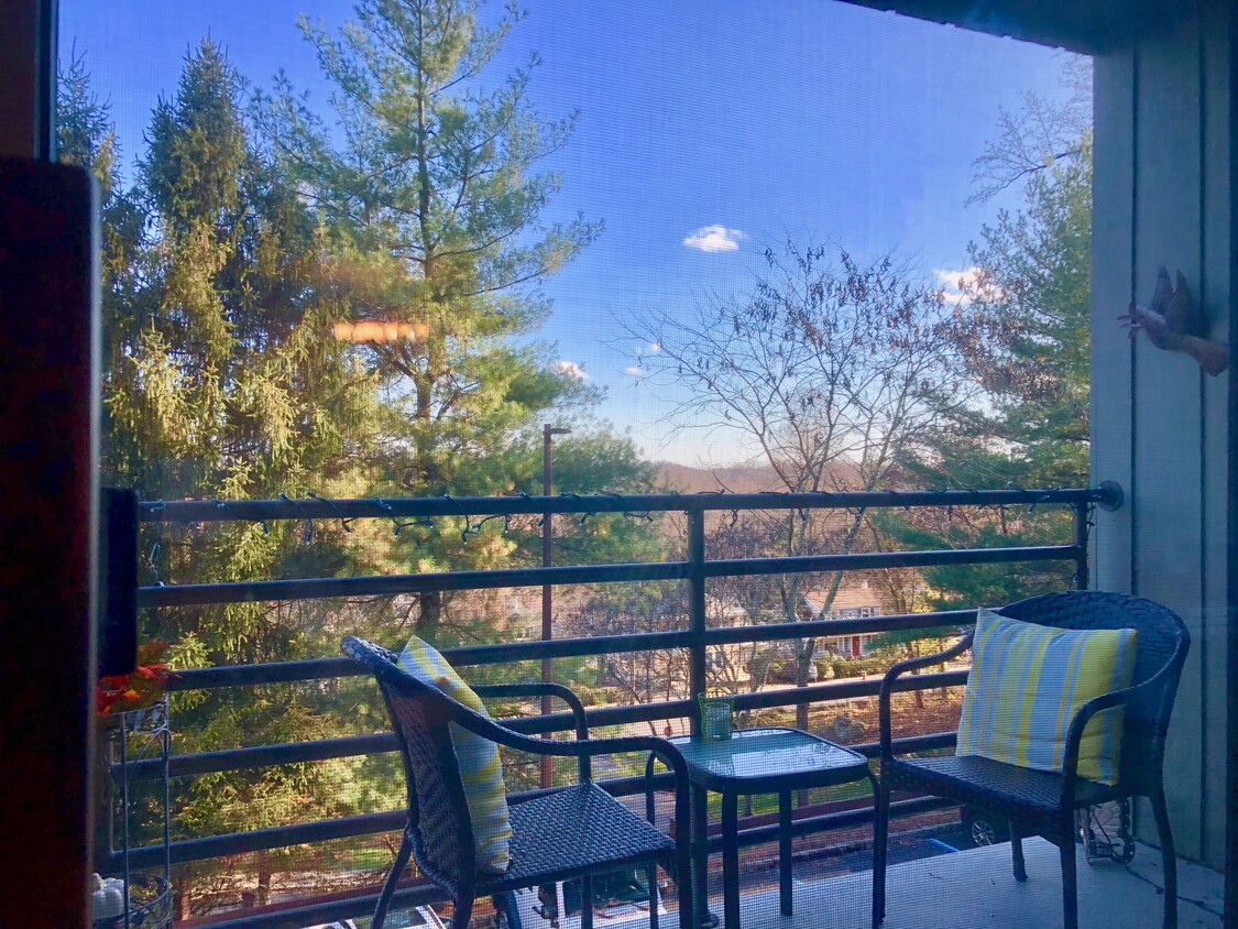 Balcony - 61 Mt Kemble Ave