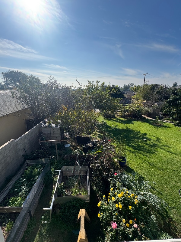 Building Photo - 1342 La Colina Dr