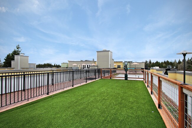 Parque comunitario para perros - Destinations Lynnwood 61+ Active Adult Apartment Homes